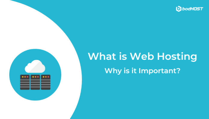 What is Web Hosting