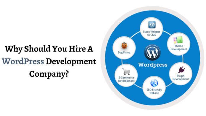 WordPress Development Company