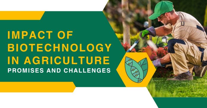 Impact of Biotechnology in Agriculture (1)